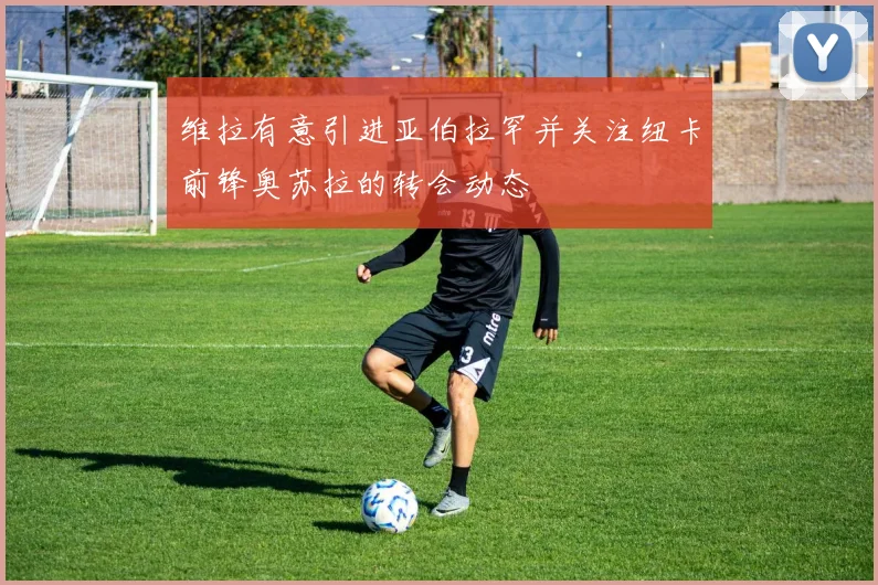 维拉有意引进亚伯拉罕并关注纽卡前锋奥苏拉的转会动态